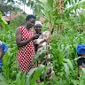 Ninsiima Daniel