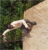 Wycliffe Adek