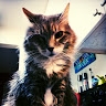 Sunny OneSecondinLife