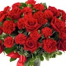 Francis Amoo
