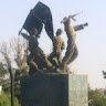 majid jamal