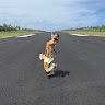Tongoteivai Finau