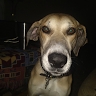 Johnny Buterbaugh
