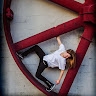 Leah Jones