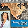 Liliana L Quiroz Law Offices