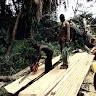 denis opiyo
