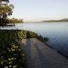 Matome Mahlase