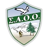 ΣΑΟΟ  