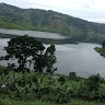 Mariacleo Tumwebaze