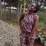 Timina wanyama