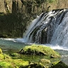 Flo lem