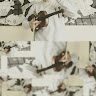 Vincenza Tizzone