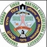 nerraj Pawar
