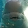 brian  