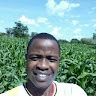 STEPHEN AWAL