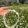 אפרת כהן