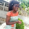 Vignon Hintenou