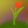 Epic Tulip