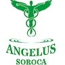 Sergiu Dobrovolschi