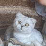 Михайло Ситник
