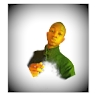 Meshack Mwendwa