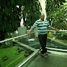 Hadson Mboya