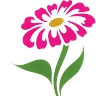 Plant Your Seeds