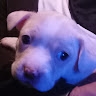 Drago Jeburk