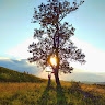 Kirill Grosu