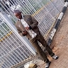 John Ngugi