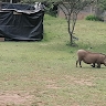 Walter Omiti