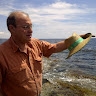 José A. Martínez Soler