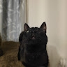 mari ano