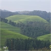 Okinda Owuor