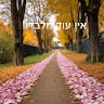 הודיה כהן