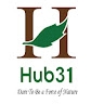 Hub 31