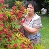 Алла Гончарова