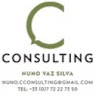Nuno Vaz Silva
