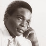 Robin Harrison
