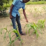 Saer Ndiaye