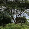 Lameck Kenyaga