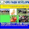 opkfarm developmentcentre