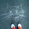 akka miau
