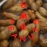 GMB Peanuts