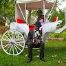 terence mucheka