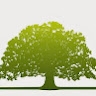 IrishTreeCentre  