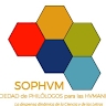 Vicepresidentes Ejecutivos I-III SOPHVM