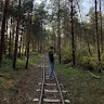 Balazs Kardos