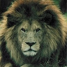 Obinna  
