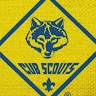 Pack29 Austin